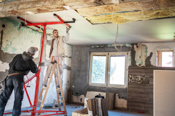 Best Insulation Installation Services in Algona, IA